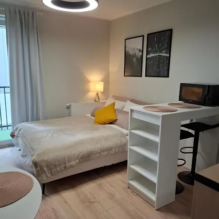 Lejlighed Lux Poznań