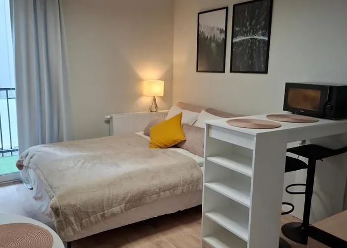 Apartment Lux Poznan